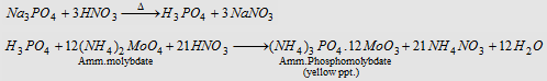 449_qualitative analysis2.png